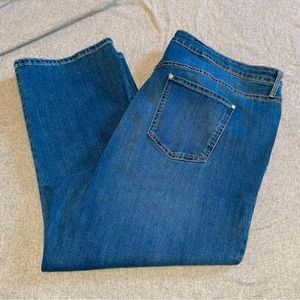 Gloria Vanderbilt Stretch Crop Jeans “All Around Slimming Effects” Women’s 20W